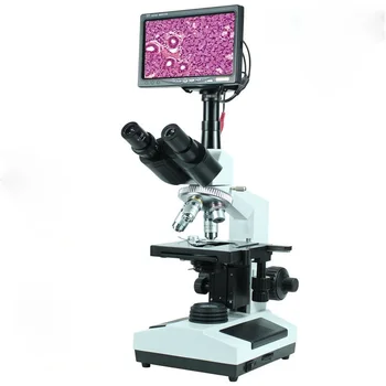 2000X Цифровой USB Профессиональный Аквакультурный Водорослевый Сельскохозяйственный для домашних животных, Больничный Грибковый Оптический биологический HD Бинокулярный микроскоп