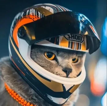 Шлем Для домашних кошек, Маленький Мотоциклетный Шлем для кошек, собак, Уличная Мини-Защита головы, Безопасная Шляпа, Аксессуары для Фотосъемки домашних животных, Декоративный Шлем